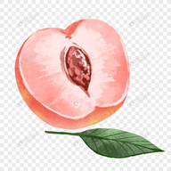 短视频破解版十大平台APP应用
